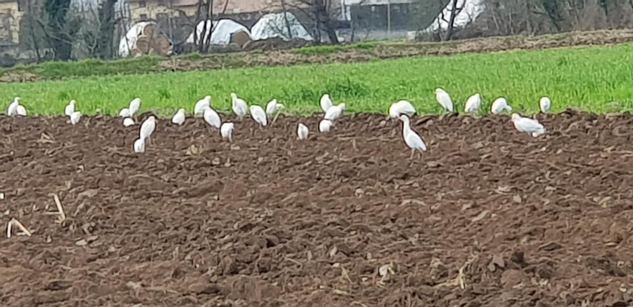Az.Agr.Cascina Moretta Momo 외부 사진