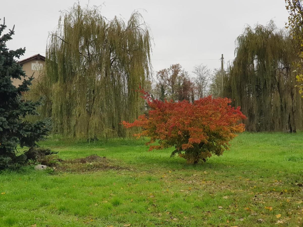 Az.Agr.Cascina Moretta Momo 외부 사진