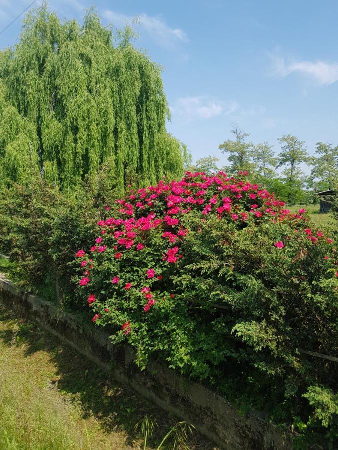Az.Agr.Cascina Moretta Momo 외부 사진