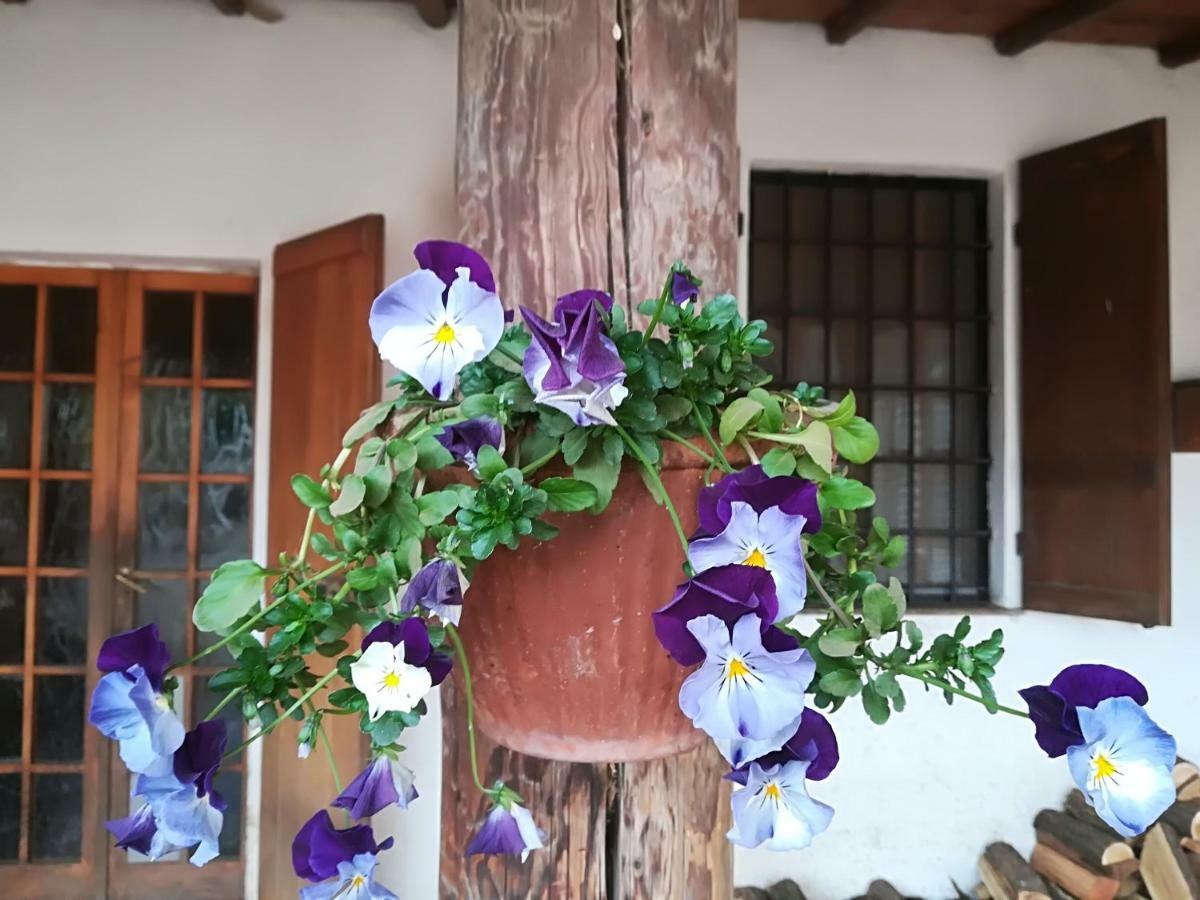 Az.Agr.Cascina Moretta Momo 외부 사진